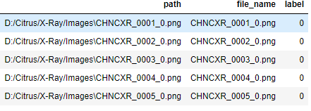 image-classification-file-location